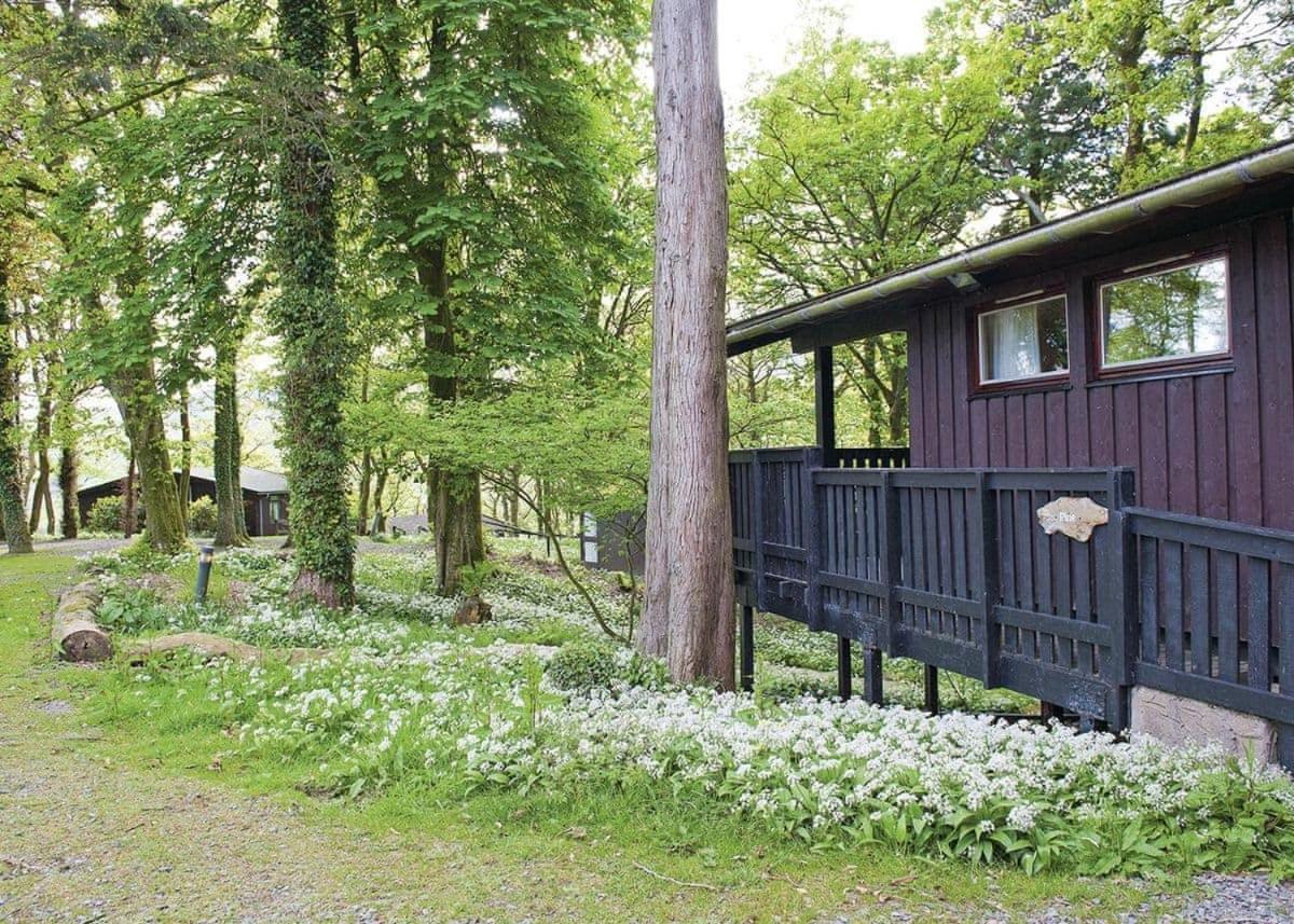 Brockwood Hall Lodges Silecroft Exteriér fotografie